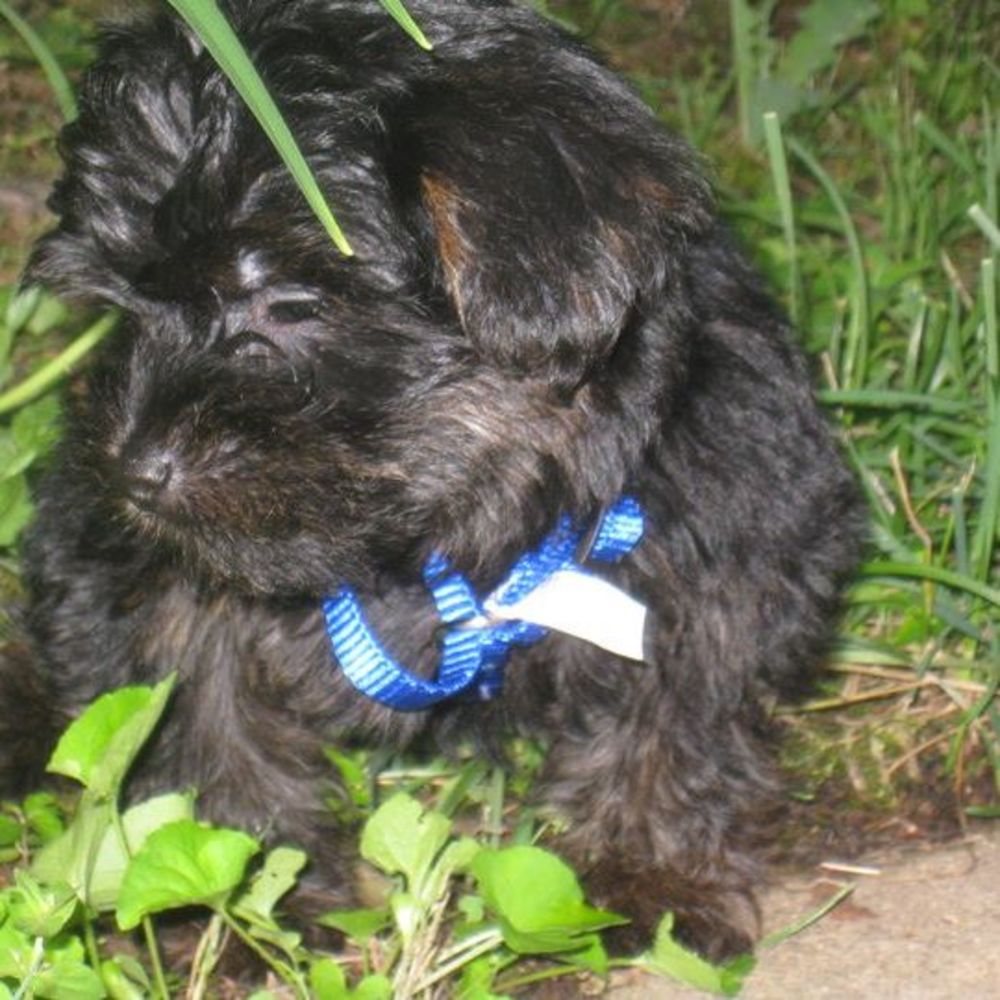 Meet your Posher, Bethany